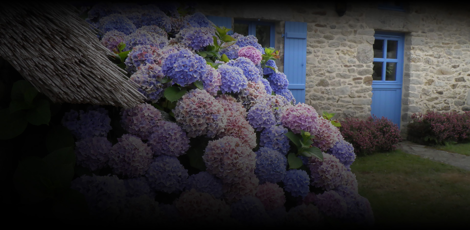 Фоновое изображение