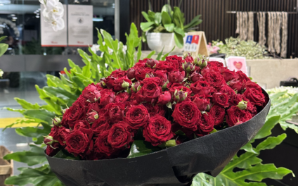 romantic flowers